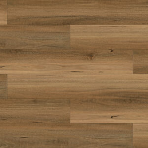 Blackbutt