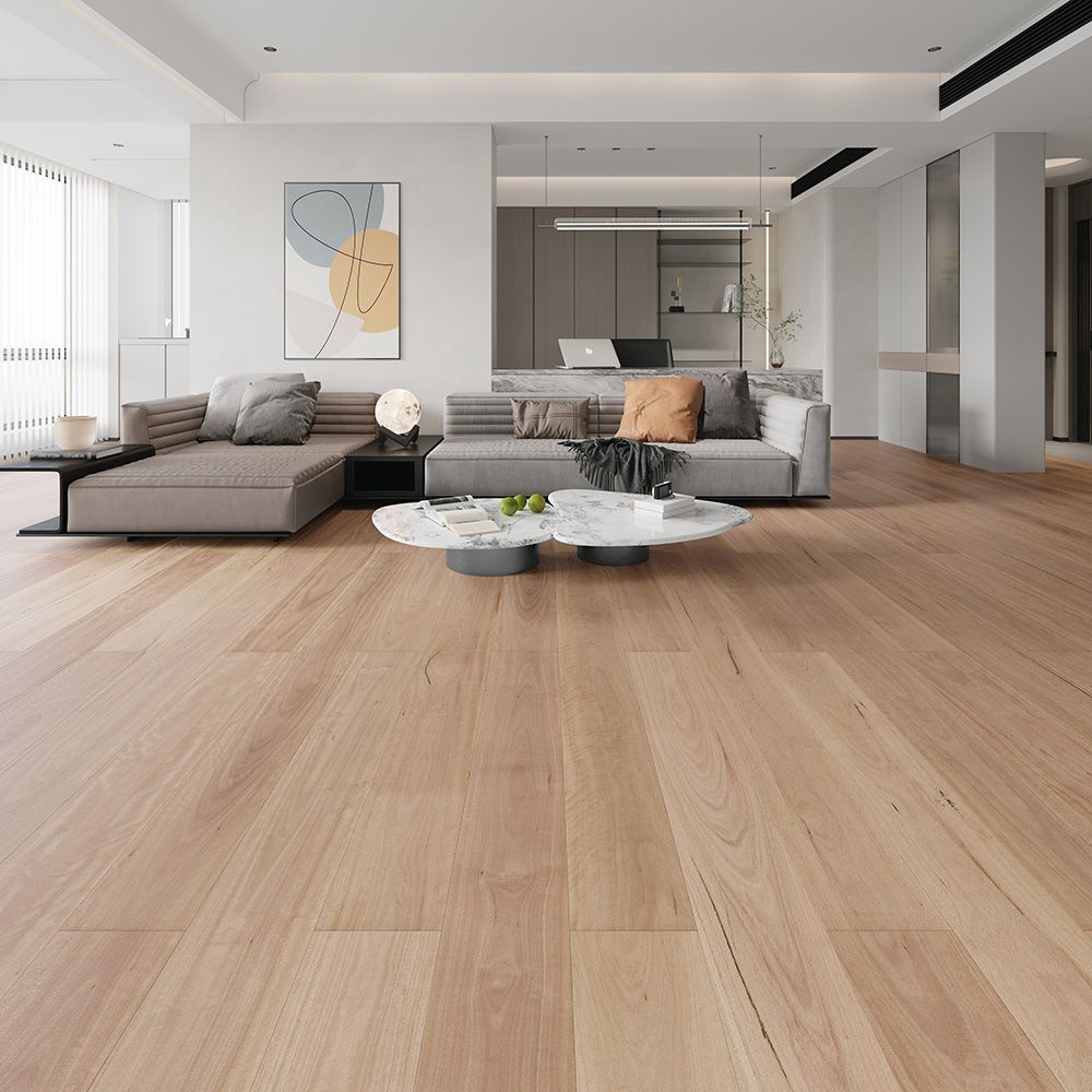 Blackbutt - Image 2