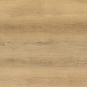Forest Oak