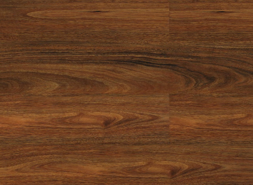 Spotted Gum