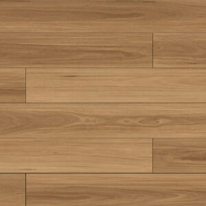 Ligh Blackbutt