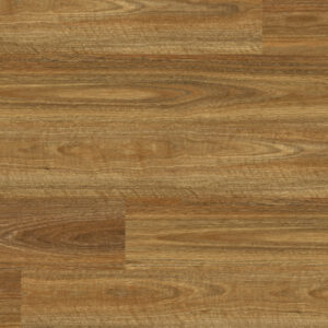 Spotted Gum