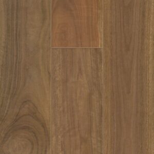 Spotted Gum