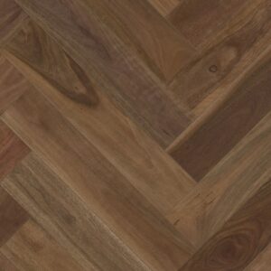 Spotted Gum